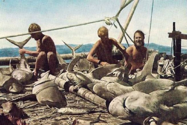 Eterna Super Kontiki – Image 8